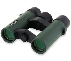 Carson RD-8x26 Compact Binoculars
